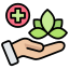 Holistic Care